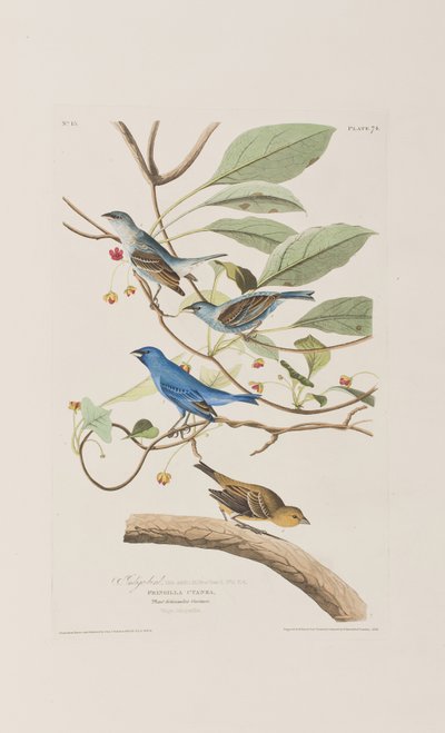 Ilustración de 