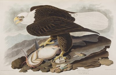 Ilustración de 