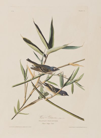 Ilustración de 