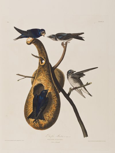 Ilustración de 