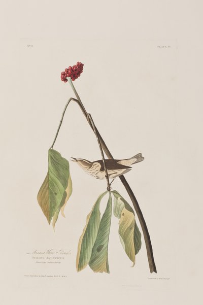 Ilustración de 