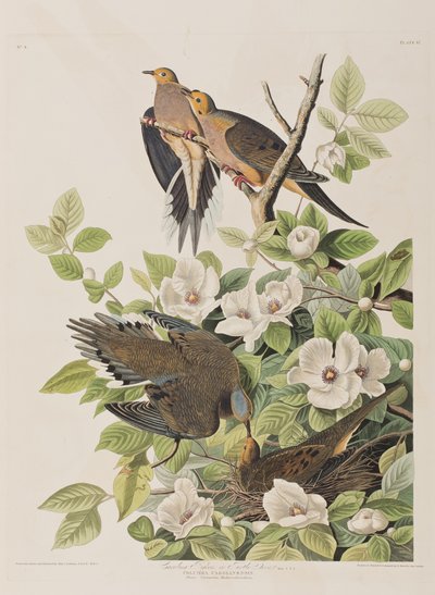 Ilustración de 