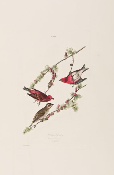 Ilustración de 