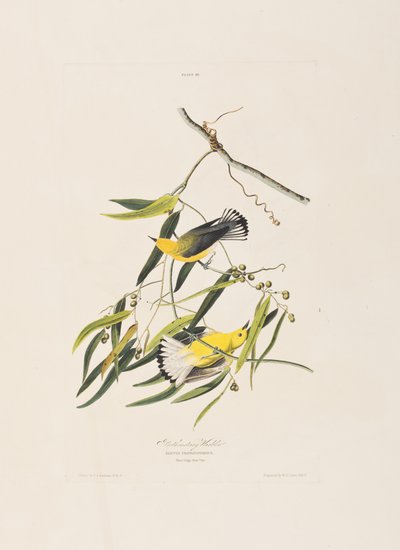 Ilustración de 