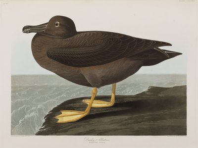 Ilustración de 