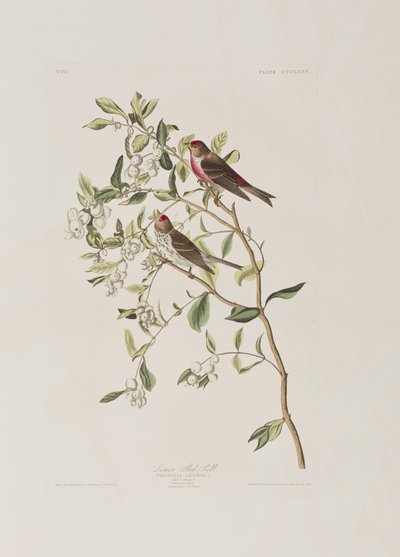 Ilustración de 