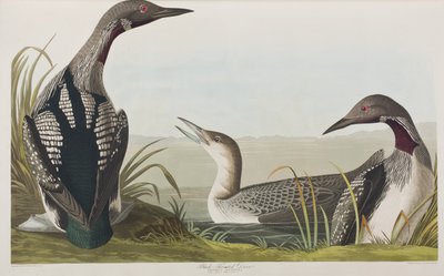 Ilustración de 