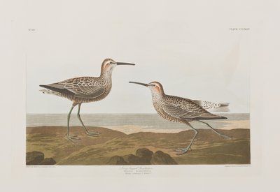 Ilustración de 