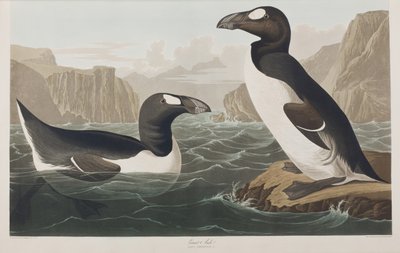 Ilustración de 