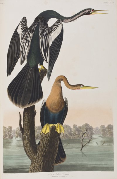 Ilustración de 