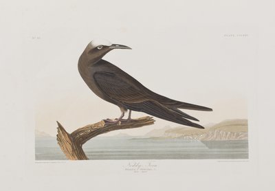 Ilustración de 