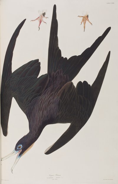 Ilustración de 