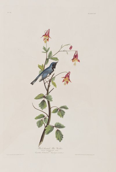 Ilustración de 