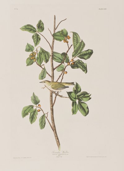 Ilustración de 