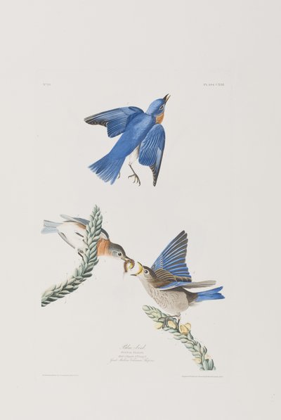 Ilustración de 