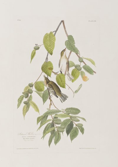 Ilustración de 