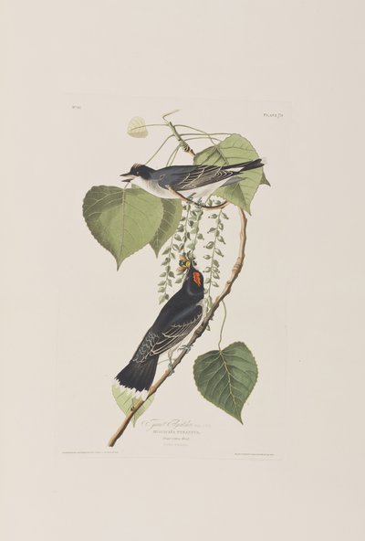 Ilustración de 