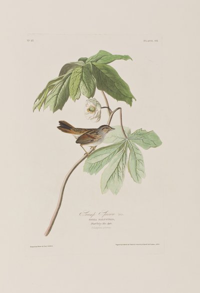 Ilustración de 