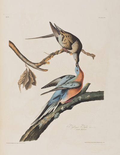 Ilustración de 