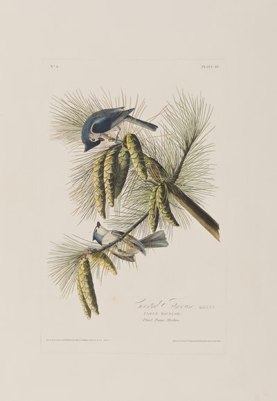 Ilustración de 
