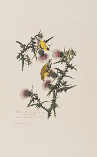 Ilustración de 