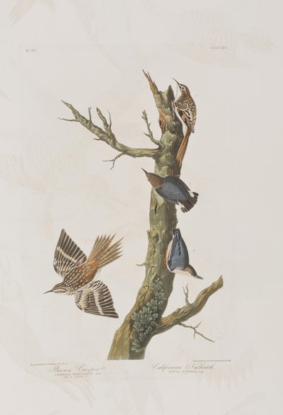Ilustración de 