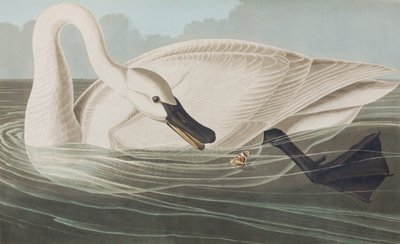 Ilustración de 