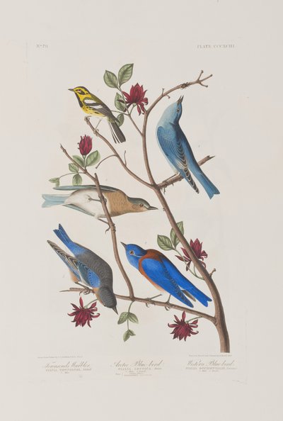 Ilustración de 