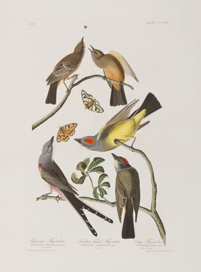 Ilustración de 