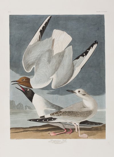 Ilustración de 