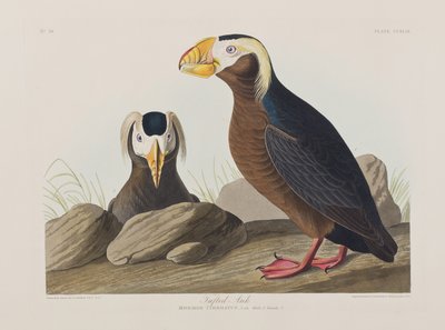 Ilustración de 