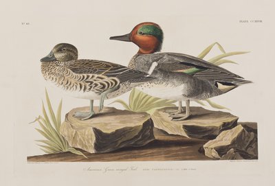 Ilustración de 