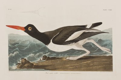 Ilustración de 