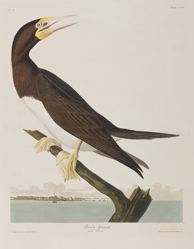 Ilustración de 