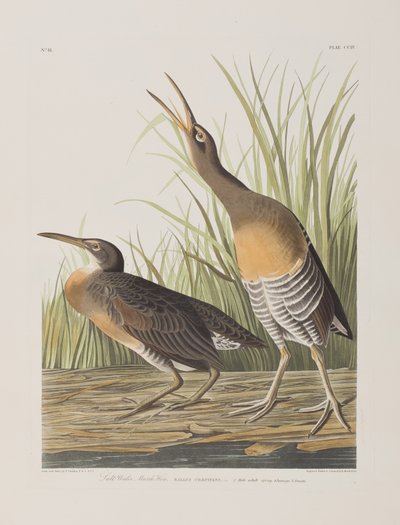 Ilustración de 