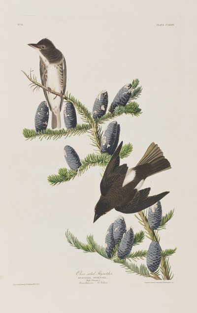 Ilustración de 