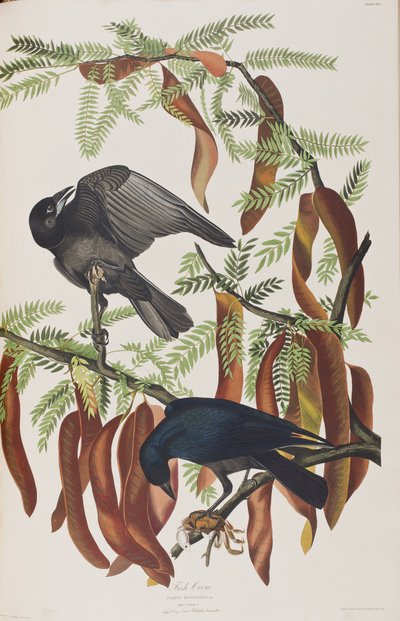 Ilustración de 