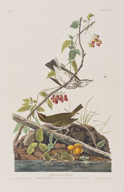 Ilustración de 