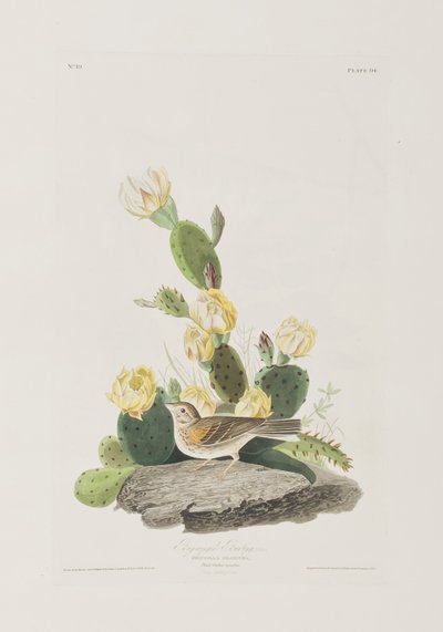 Ilustración de 