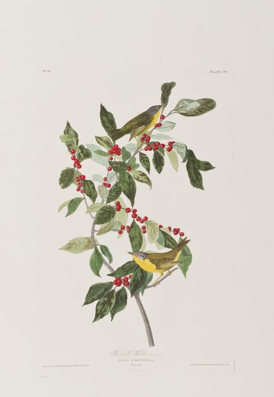 Ilustración de 