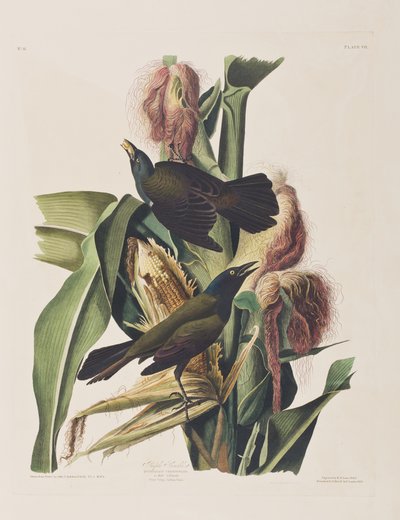 Ilustración de 