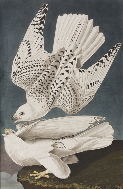 Ilustración de 