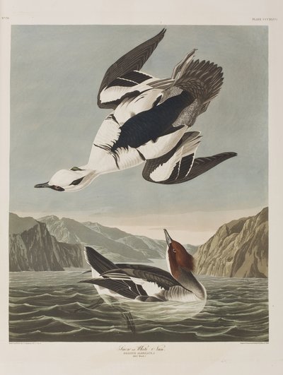 Ilustración de 