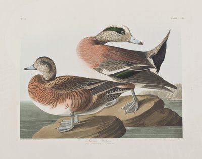 Ilustración de 
