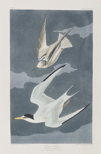 Ilustración de 