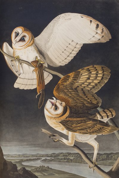 Ilustración de 
