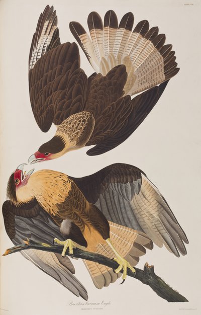 Ilustración de 