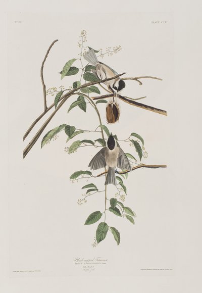 Ilustración de 