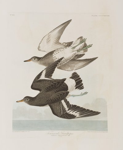Ilustración de 