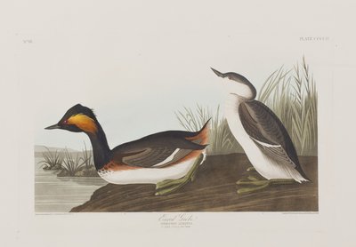 Ilustración de 